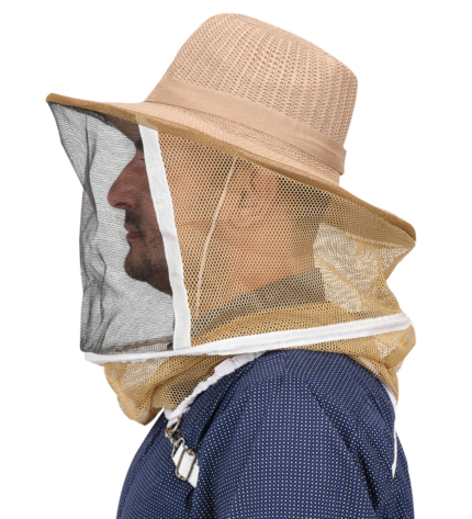 Untitled design 2024 08 01T050745.681