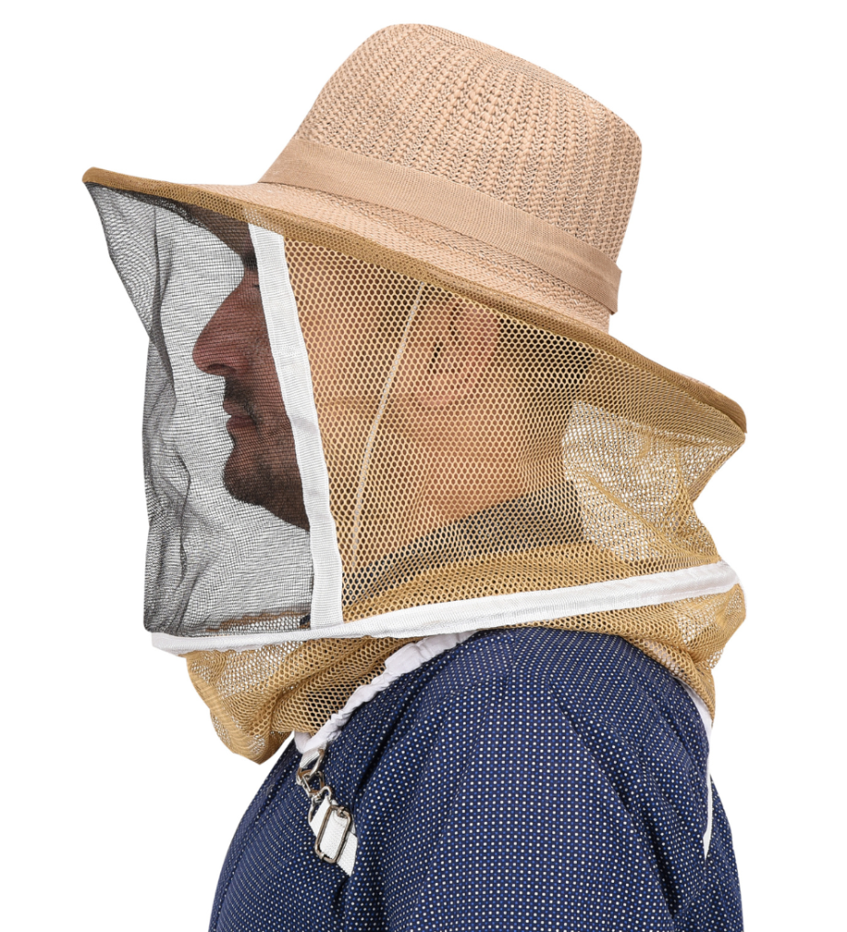 Untitled design 2024 08 01T050745.681